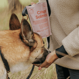 Skanėstai šunims su lašiša ir mėlynėmis Buddy Crispy Salmon