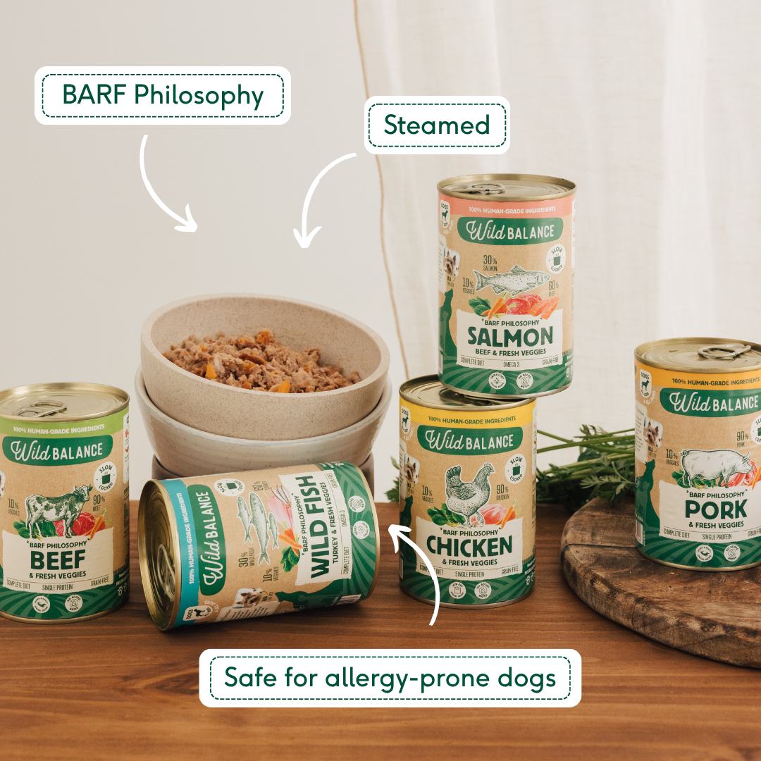 Wild Balance Single Protein Wet Dog Food with Pork