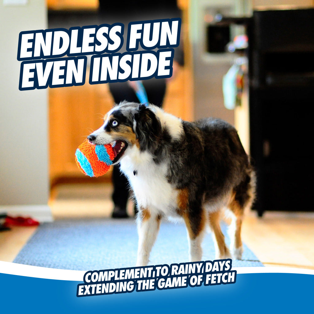 Soft indoor ball for dogs "Chuckit! Indoor Ball"