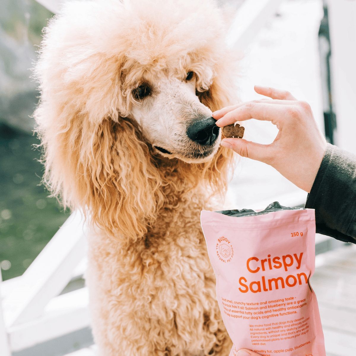 Skanėstai šunims su lašiša ir mėlynėmis Buddy Crispy Salmon