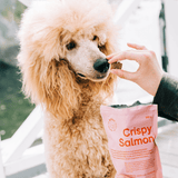 Skanėstai šunims su lašiša ir mėlynėmis Buddy Crispy Salmon