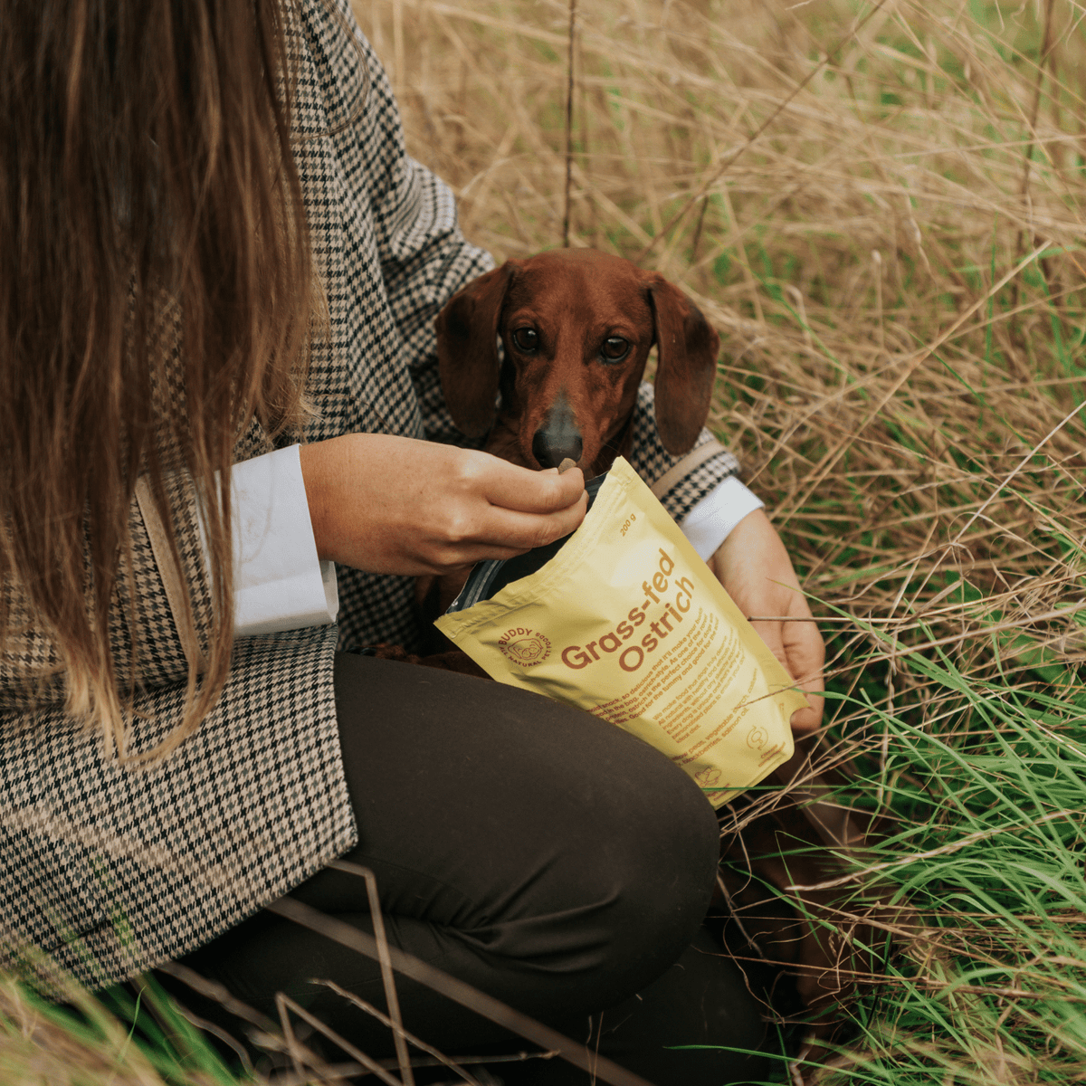 Pusiau drėgni skanėstai šunims su strutiena ir gervuogėmis Buddy Grass-Fed Ostrich