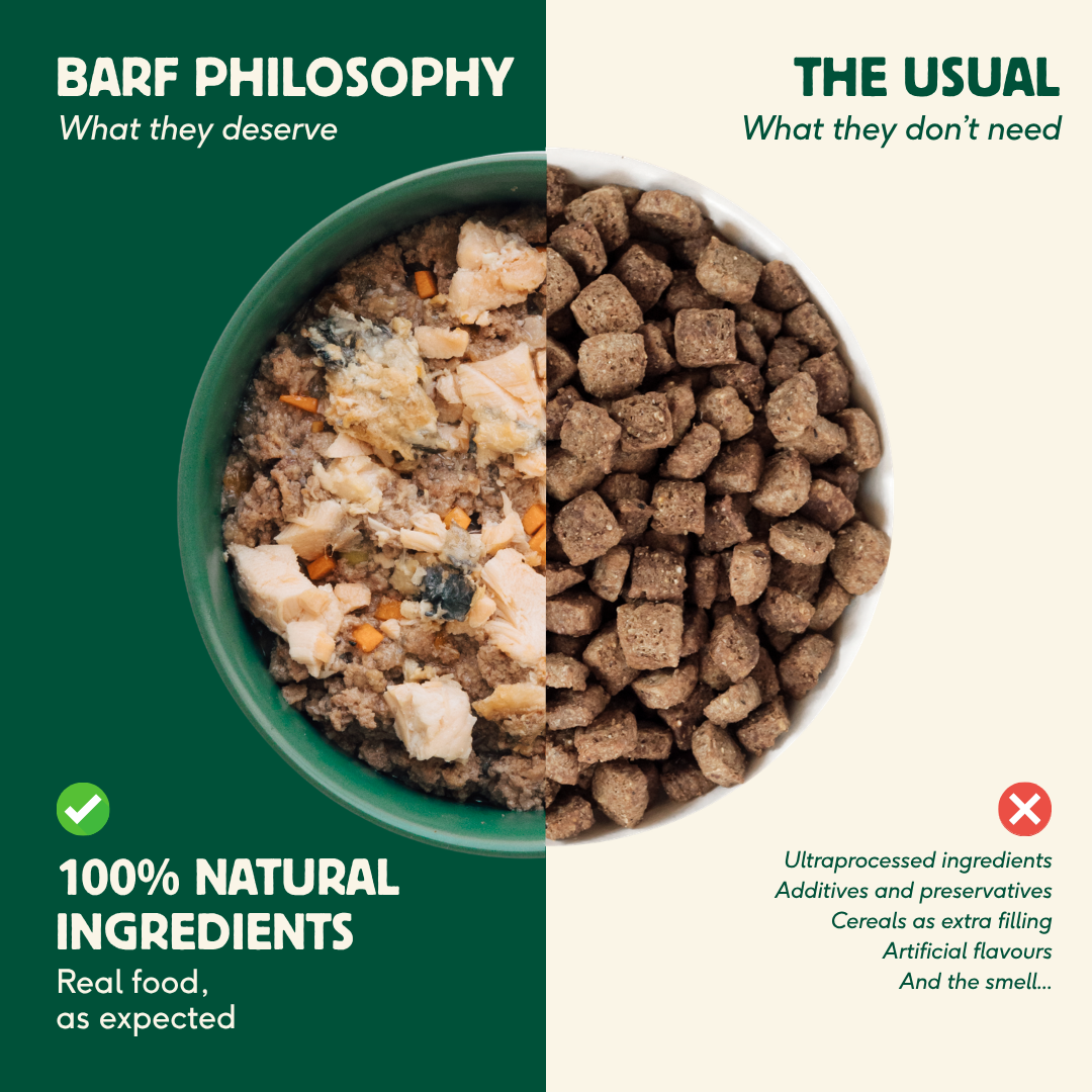Wild Balance Single Protein Wet Dog Food with Pork