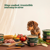 Wild Balance Stew for dogs with salmon, chicken and pears