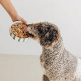 Wild Balance Single Protein Wet Dog Food with Chicken