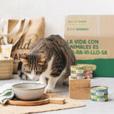 Wild Balance wet food for cats with chicken