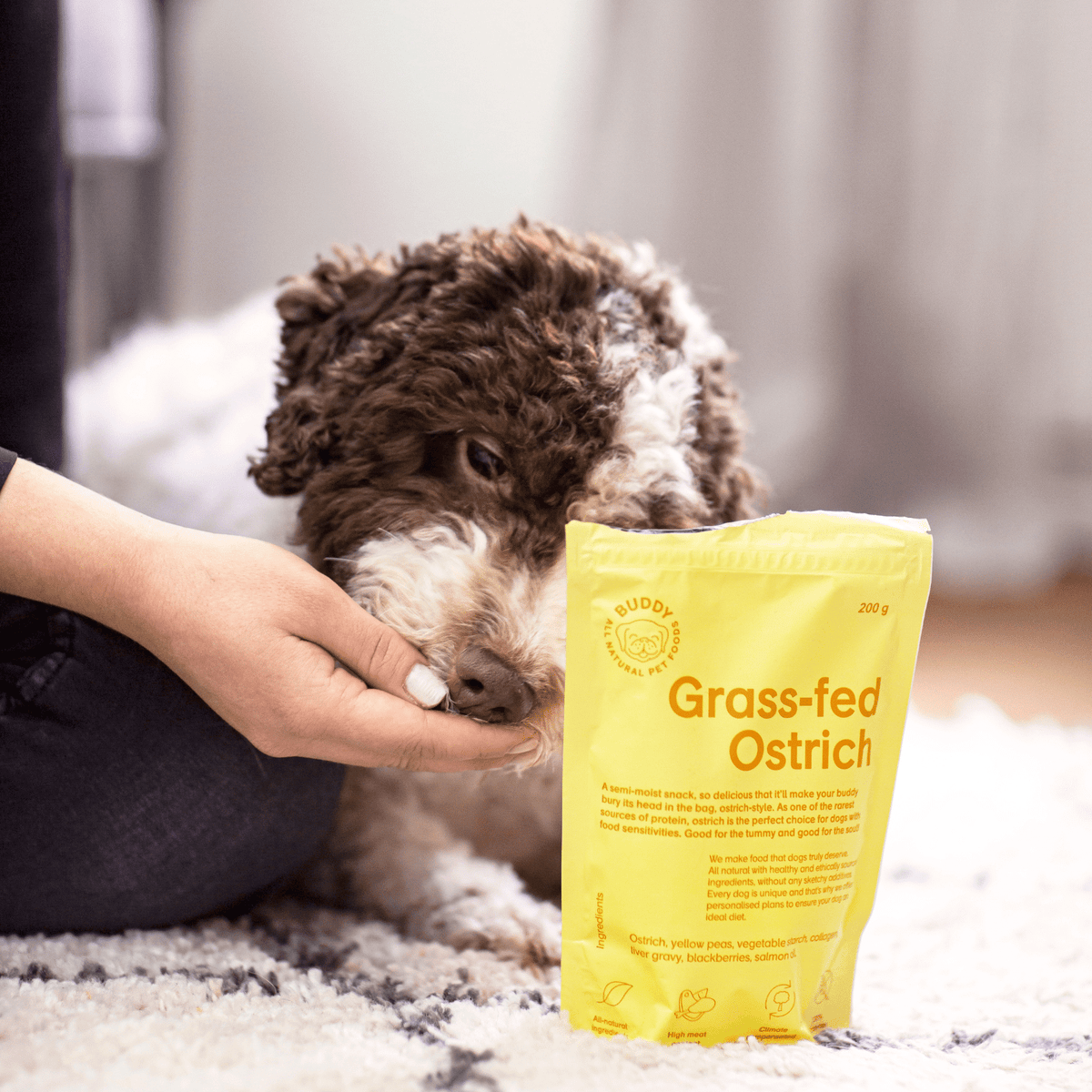 Pusiau drėgni skanėstai šunims su strutiena ir gervuogėmis Buddy Grass-Fed Ostrich