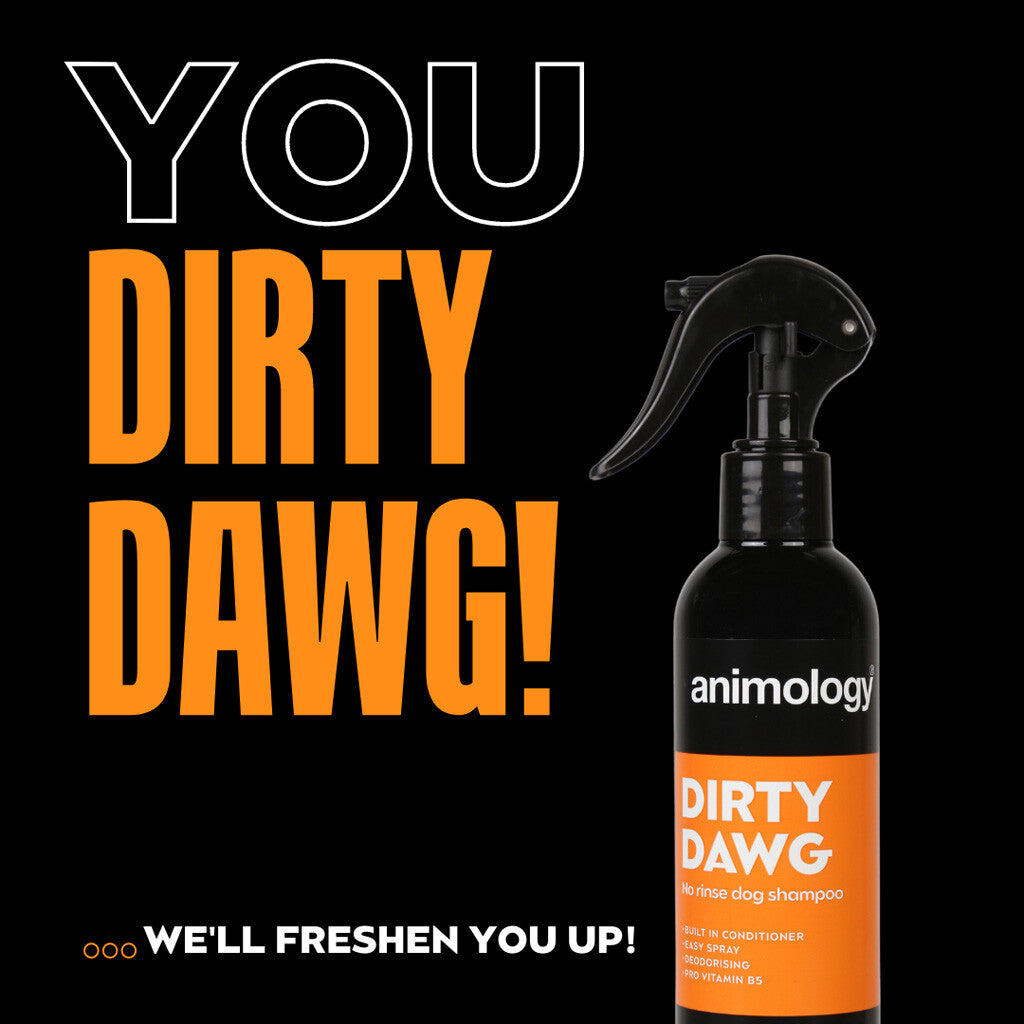 Dry shampoo for dogs Animology Dirty Dawg No Rinse Shampoo (250 ml)