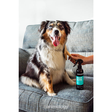 Animology Knot Sure De-Tangle Spray (250 ml)