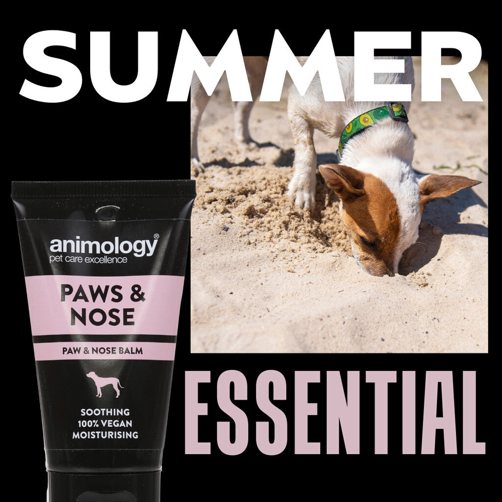 Animology Paws & Nose Balm (50 ml)