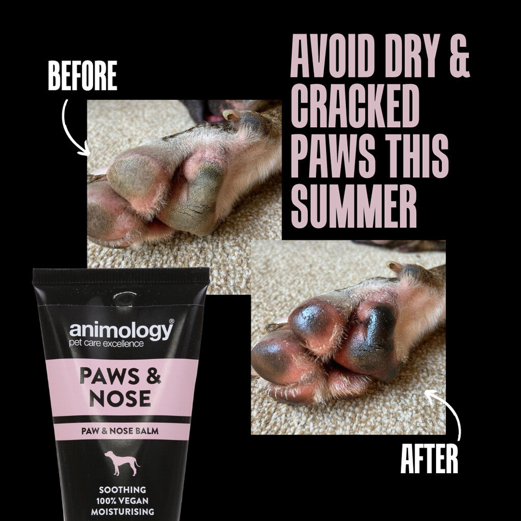 Animology Paws & Nose Balm (50 ml)
