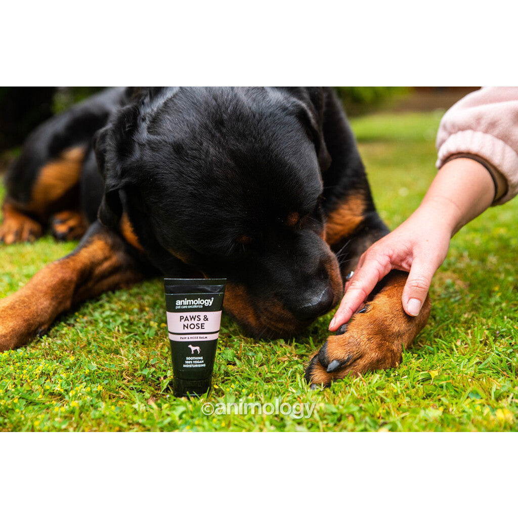 Animology Paws & Nose Balm (50 ml)