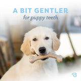 Kramtomas žaislas šuniukams "Benebone Puppy Wishbone"
