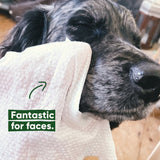 Beco Wet Bamboo Fibre Grooming Wipes for Dogs (Coconut Scent)