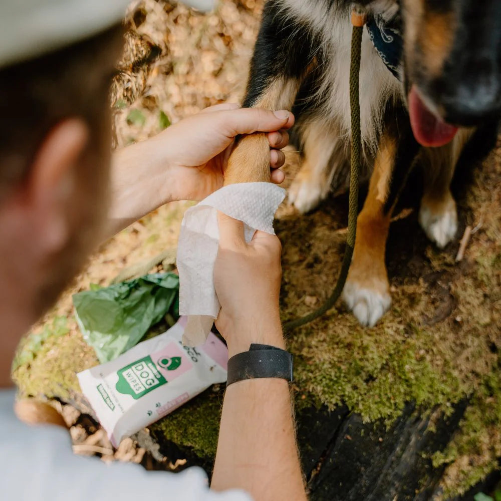 "Beco" Wet Travel Hygiene Wipes (coconut scent)