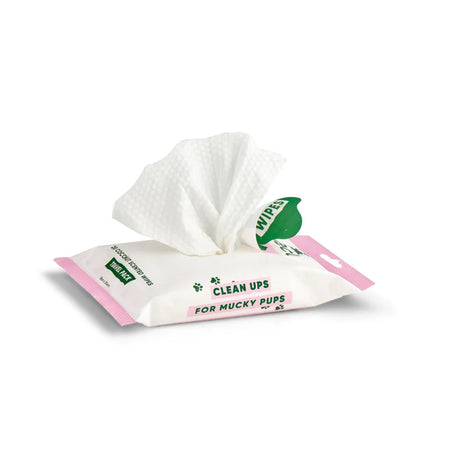"Beco" Wet Travel Hygiene Wipes (coconut scent)