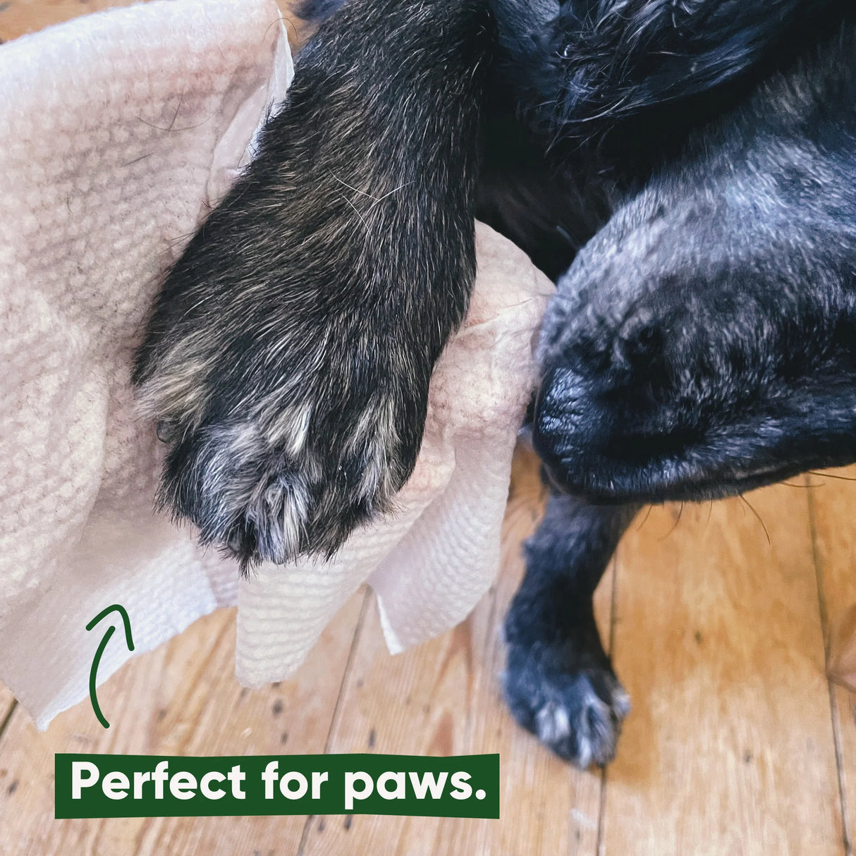 "Beco" Unscented Bamboo Wipes for Dogs