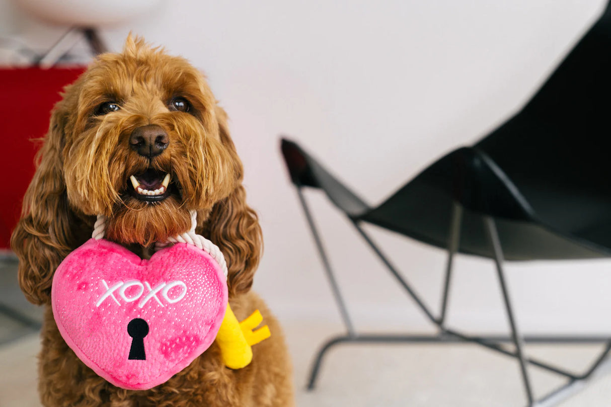 P.L.A.Y. "Love You a Lock" Heart Toy
