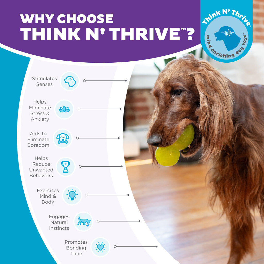 Interactive and treat-filled dog toy "Outward Hound Double-Tuff L Green"