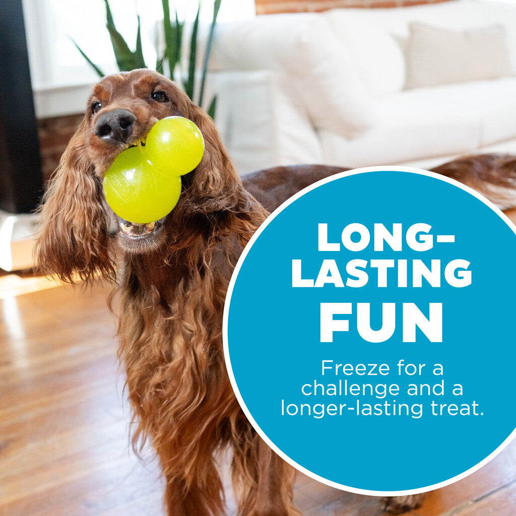 Interactive and treat-filled dog toy "Outward Hound Double-Tuff L Green"