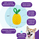 Dog toy pineapple "Outward Hound Dental Pineapple"