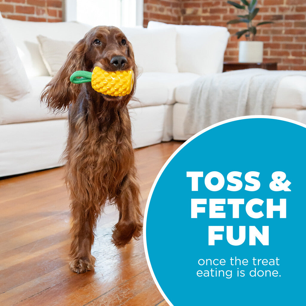 Dog toy pineapple "Outward Hound Dental Pineapple"