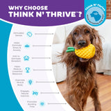 Dog toy pineapple "Outward Hound Dental Pineapple"