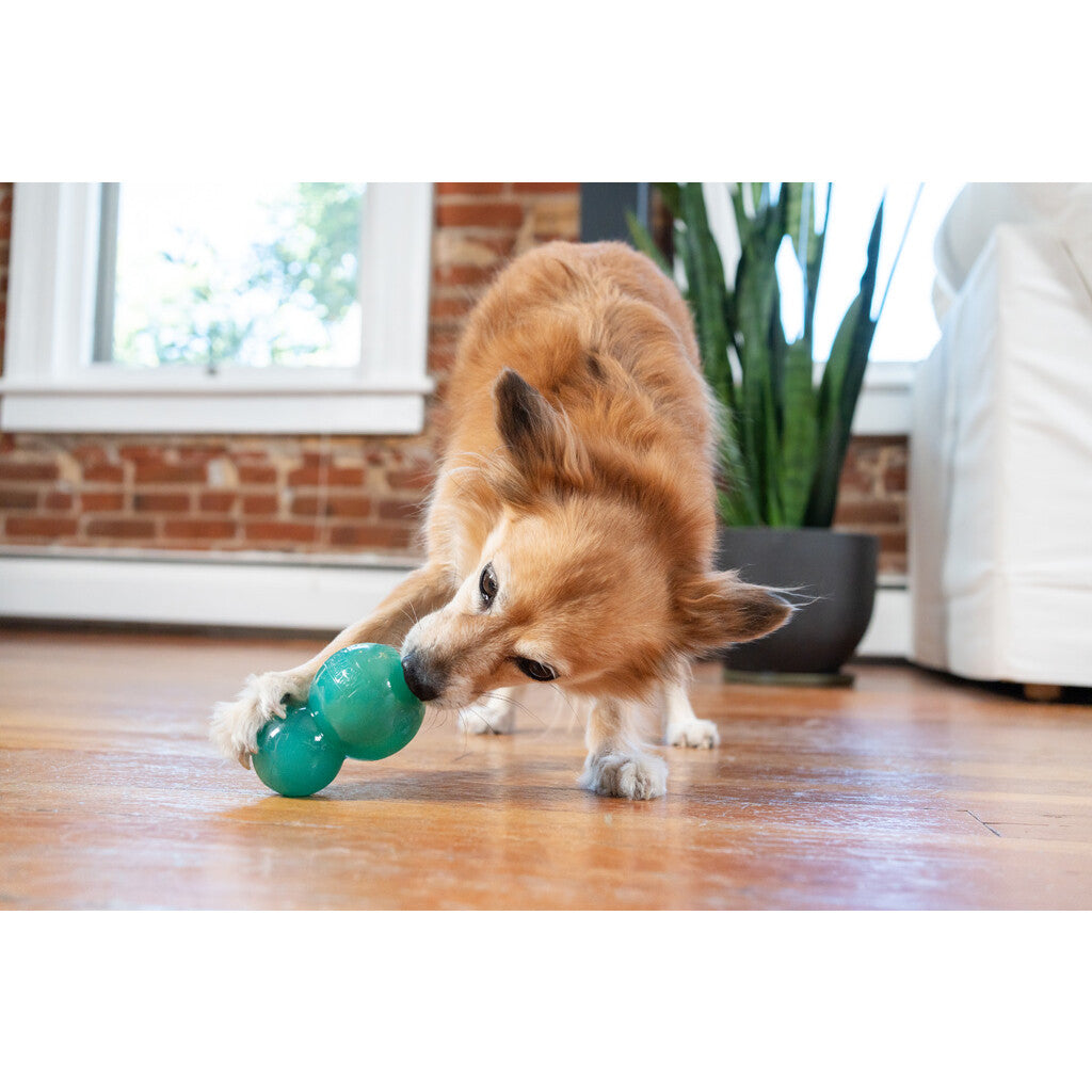 Interactive and treat-filled dog toy "Outward Hound Double-Tuff M Blue"