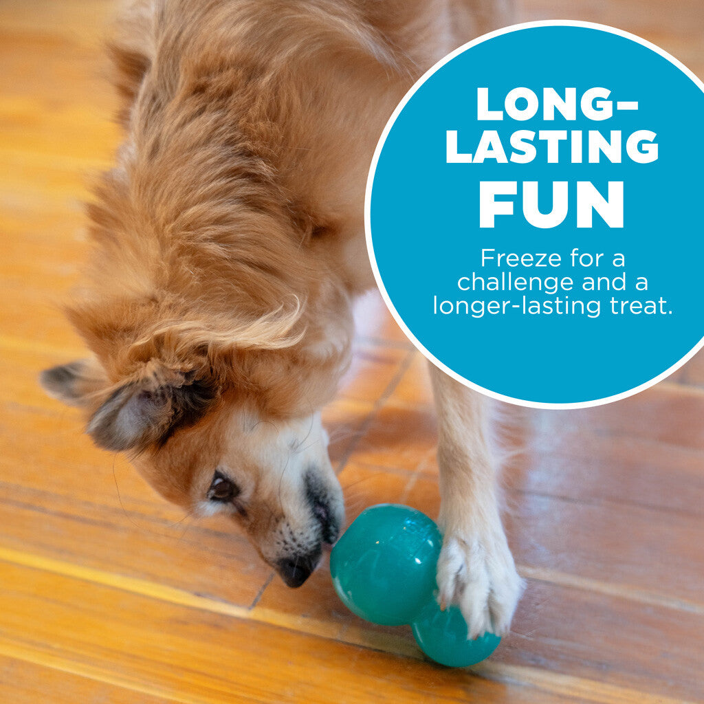 Interactive and treat-filled dog toy "Outward Hound Double-Tuff M Blue"