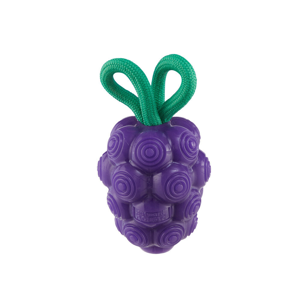 Dog toy grapes "Outward Hound Dental Grapes"