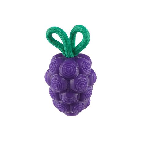 Dog toy grapes "Outward Hound Dental Grapes"