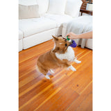 Dog toy grapes "Outward Hound Dental Grapes"