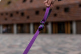 Carabiner for hanging Orbiloc Dog Dual safety light "Orbiloc Carabiner"