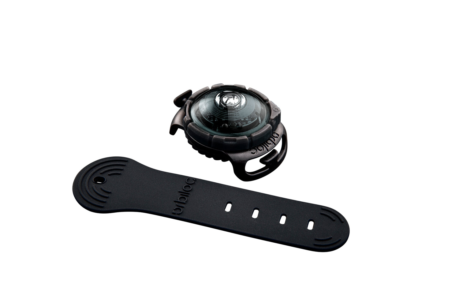 LED safety light for dogs "Orbiloc Dog Dual"