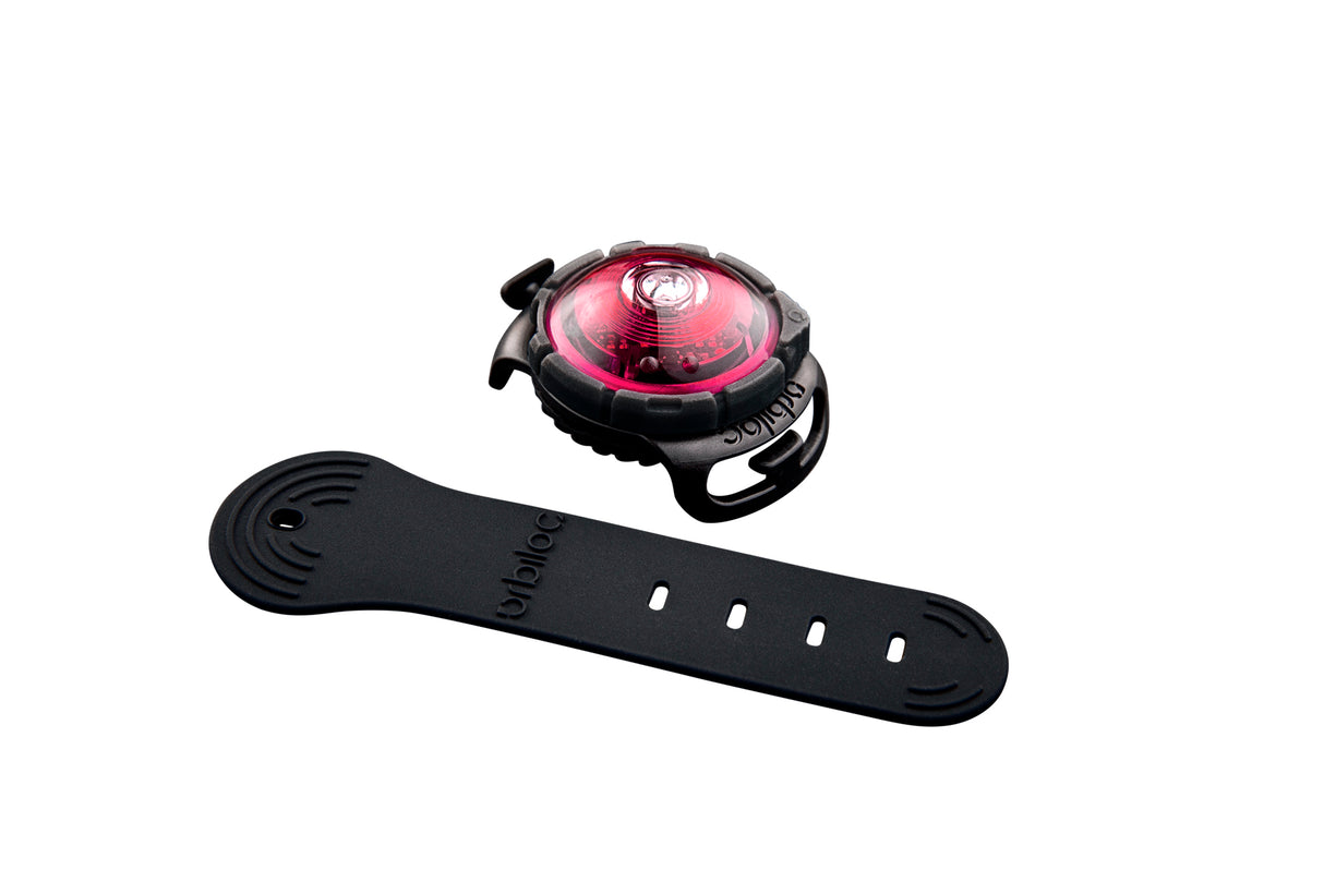 LED safety light for dogs "Orbiloc Dog Dual"