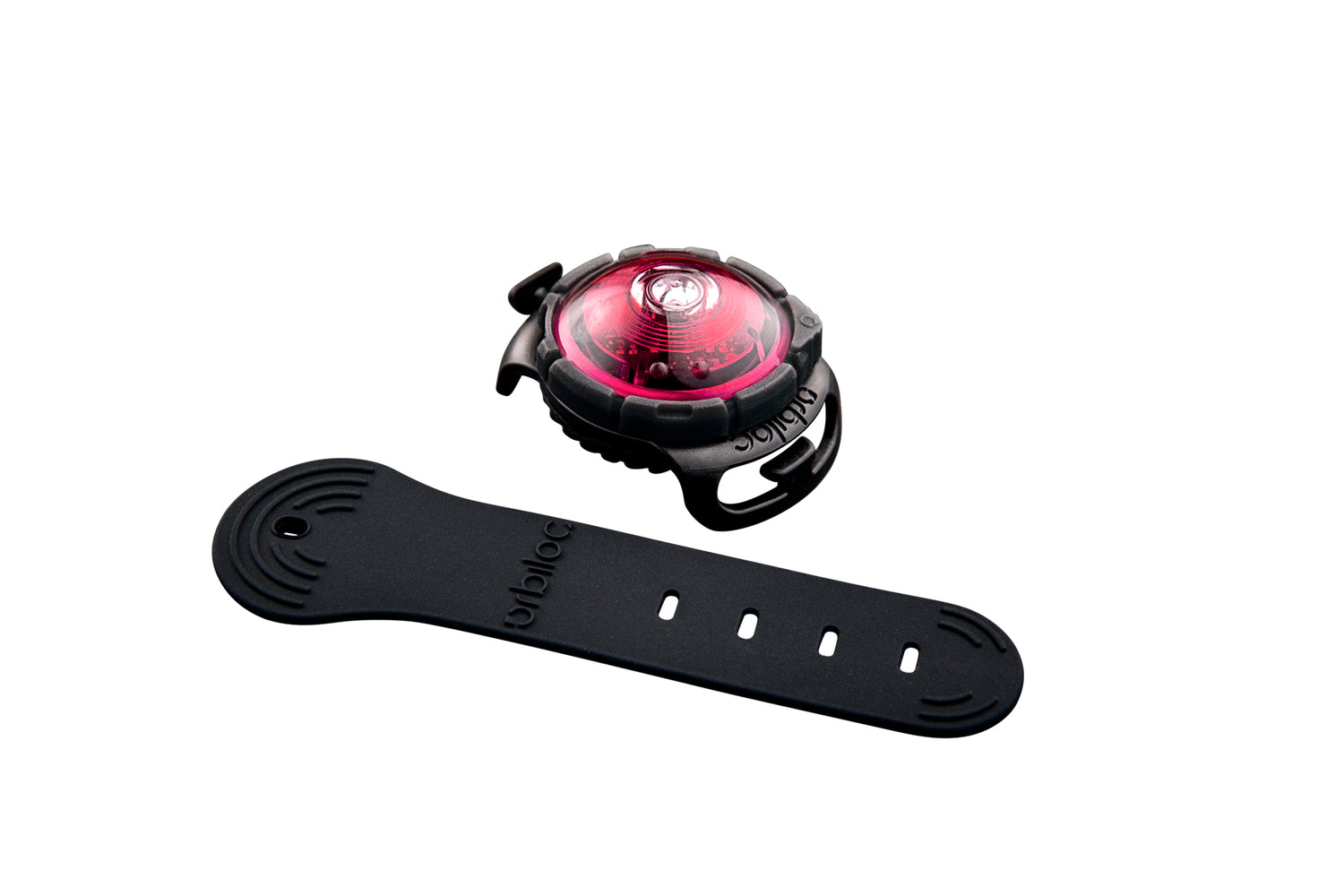 LED safety light for dogs "Orbiloc Dog Dual"