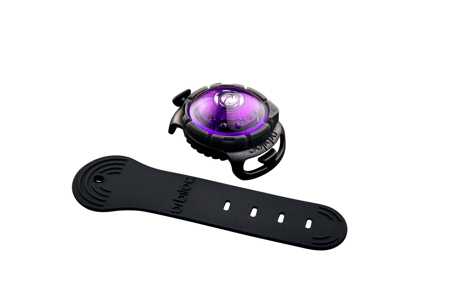 LED safety light for dogs "Orbiloc Dog Dual"