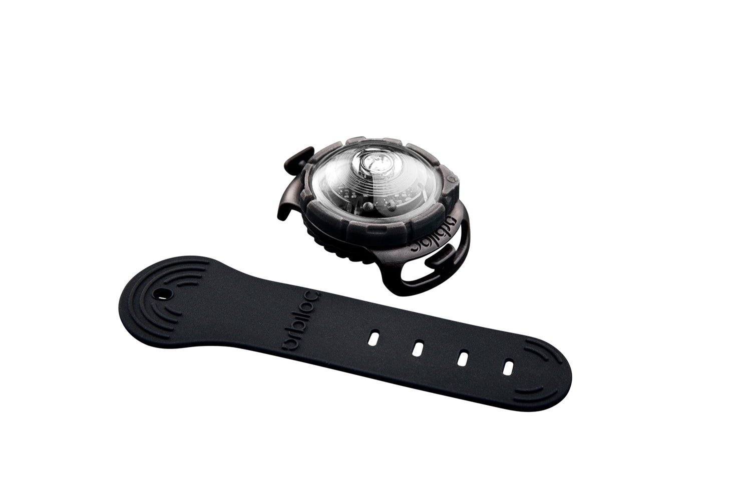 LED safety light for dogs "Orbiloc Dog Dual"