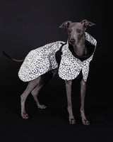 Raincoat PAIKKA Raincoat 2.0
