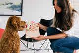 P.L.A.Y. "Ruv Letter" Love Letter