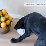 Bowl for long-eared dogs "Pino"