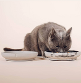 Cat bowl "Pino"