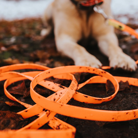 Training leash 5 meters "Hunter Tracking Leash Convenience"