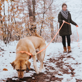 Training leash 5 meters "Hunter Tracking Leash Convenience"