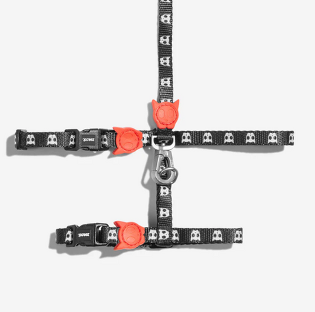 Harness with leash "Zee.Cat Skull"