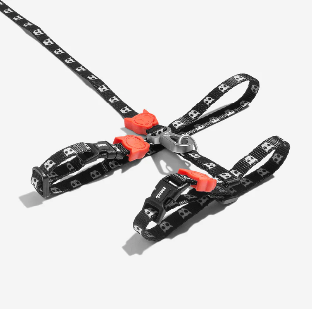 Harness with leash "Zee.Cat Skull"