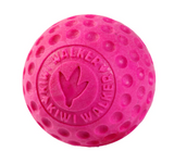 Toy "Kiwi Walker Let's Play Ball"