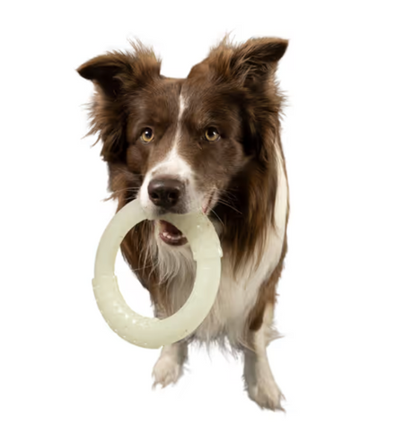 Kiwi Walker Glow Ring Toy