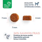 Marly & Dan Puppy Small Breed dry dog food