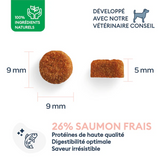 Marly & Dan Puppy Medium-Large Breed dry dog food